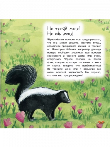 Альгарра Цвета животных Любопытные факты для детей 3+