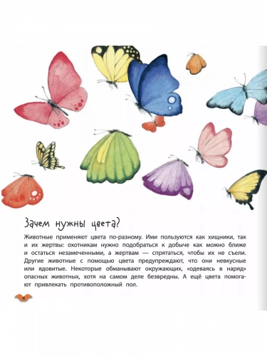 Альгарра Цвета животных Любопытные факты для детей 3+