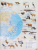 (Нов) Банников Атлас + К/к География 7 класс Материки и океаны + обложки