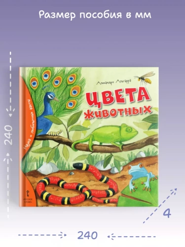 Альгарра Цвета животных Любопытные факты для детей 3+