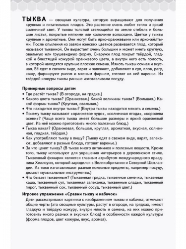 МП 40 дидактических карточек Овощи фрукты ягоды